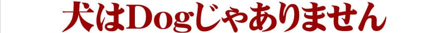 犬はDogじゃありません